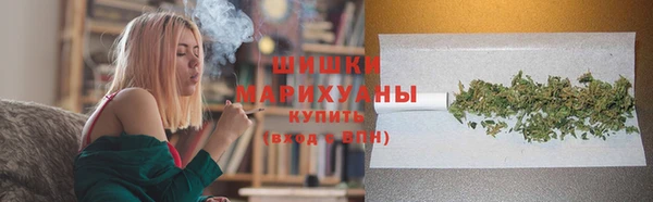 ГАЛЛЮЦИНОГЕННЫЕ ГРИБЫ Медногорск