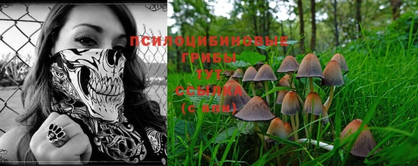 ГАЛЛЮЦИНОГЕННЫЕ ГРИБЫ Медногорск