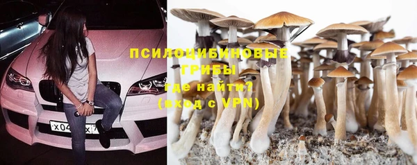 ГАЛЛЮЦИНОГЕННЫЕ ГРИБЫ Тольятти