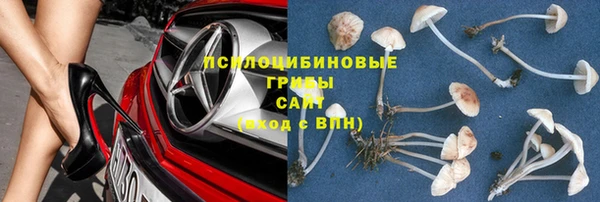 МДПВ Медвежьегорск