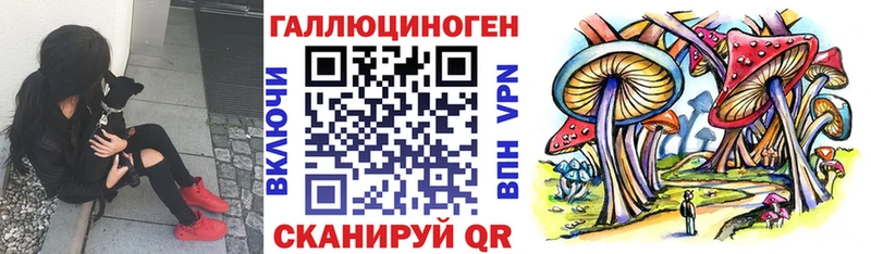 Галлюциногенные грибы мухоморы  даркнет сайт  Александров 