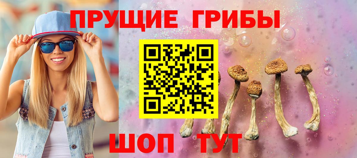 Галлюциногенные грибы мухоморы Александров