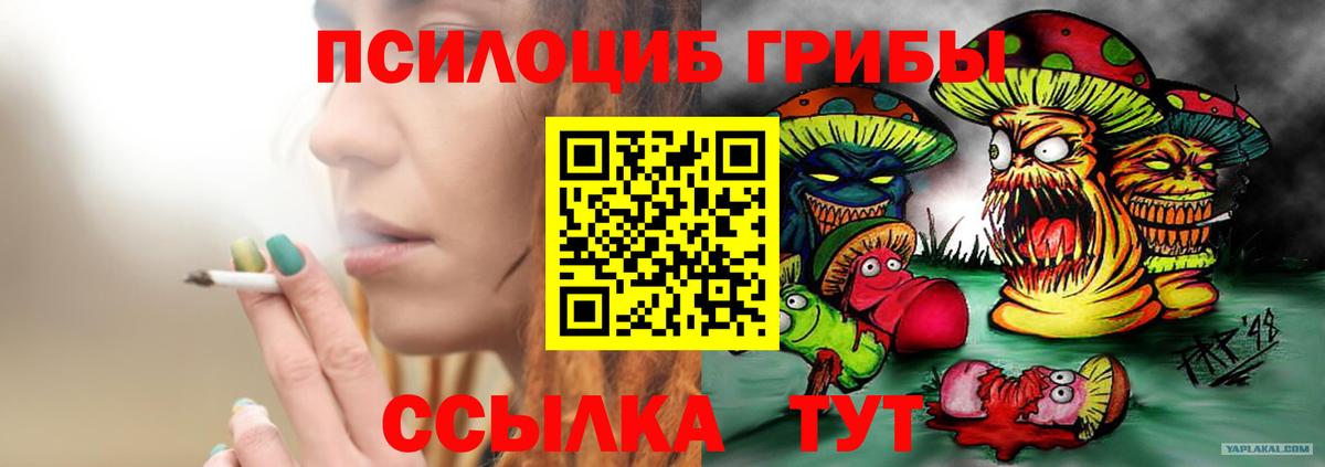 Псилоцибиновые грибы Cubensis  Вход с VPN  Александров 
