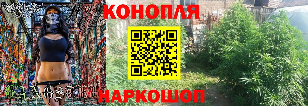 Канабис планчик Александров