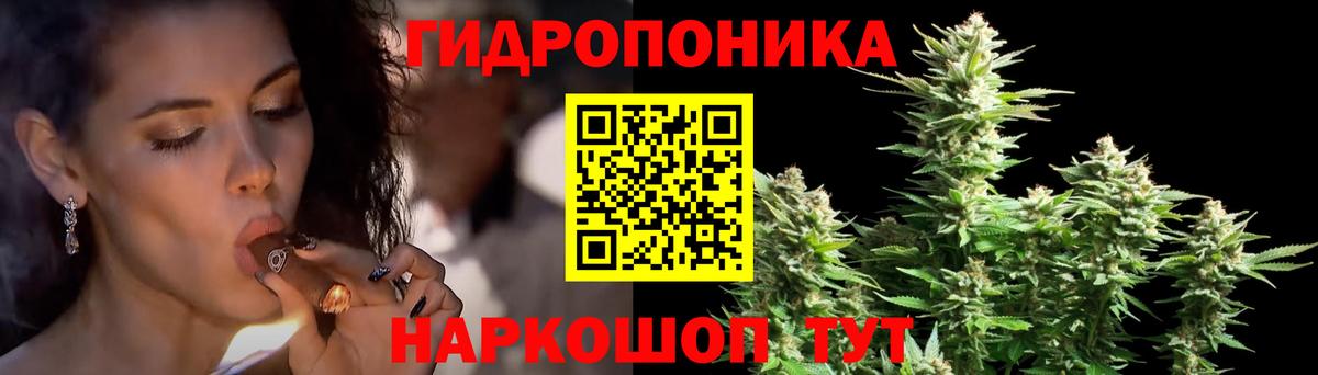 Бошки марихуана семена  Вход с VPN  Александров  МАРИХУАНА конопля  МАРИХУАНА планчик 